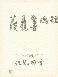 荒岛惊魂短剧在线观看