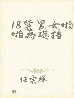18禁男女啪啪啪无遮挡