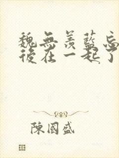 魏无羡蓝忘机最后在一起了吗