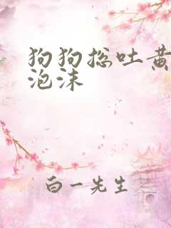 狗狗总吐黄水带泡沫