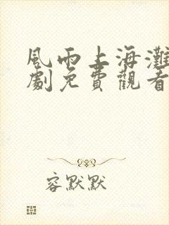 风雨上海滩电视剧免费观看