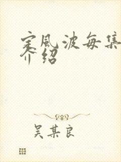 定风波每集剧情介绍