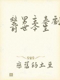 双男主泰剧穿越前世今生