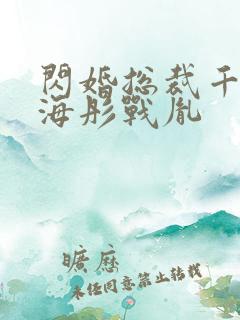 闪婚总裁千亿宠海彤战胤