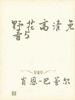 野花高清免费观看5