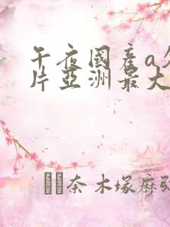 午夜国产a久久片亚洲最大