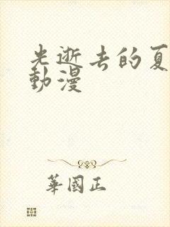 光逝去的夏天大动漫