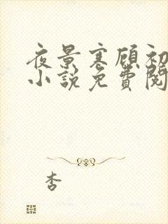 夜景寒顾初暖的小说免费阅读