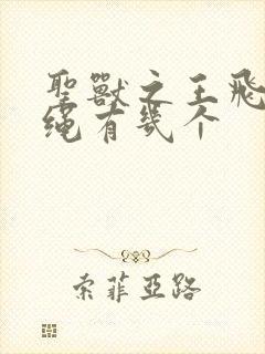 圣兽之王飞龙缰绳有几个