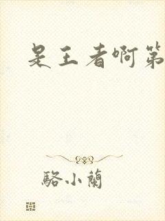 是王者啊第五集