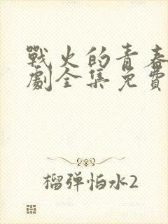 战火的青春电视剧全集免费观看