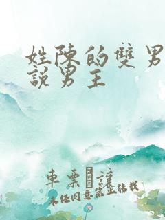 姓陈的双男主小说男主