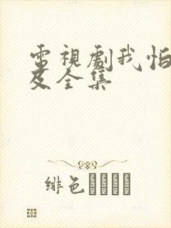 电视剧我怕来不及全集