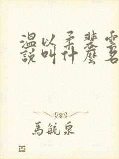 温以柔裴云彻小说叫什么名字