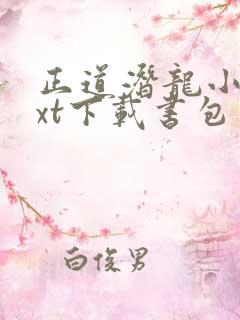 正道潜龙小说txt下载书包网