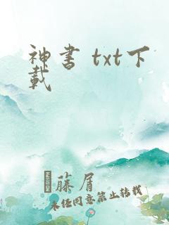神书 txt下载