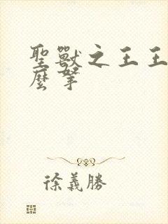 圣兽之王王剑怎么拿