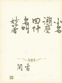 妙名回溯小说原著叫什么名字