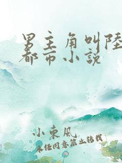 男主角叫陆辰的都市小说