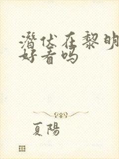 潜伏在黎明之前好看吗