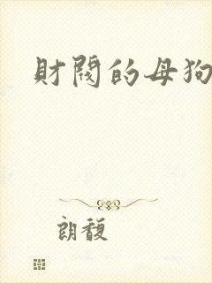 财阀的母狗们