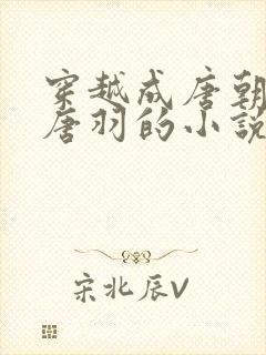 穿越成唐朝太子唐羽的小说