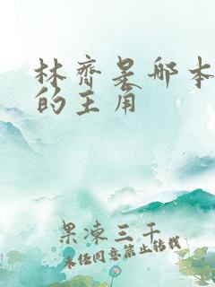 林齐是哪本小说的主角