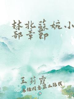 林北苏婉小说全部章节