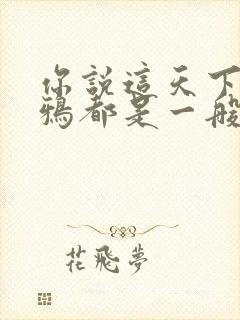 你说这天下的乌鸦都是一般黑歌词