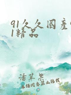 91久久国产91精品