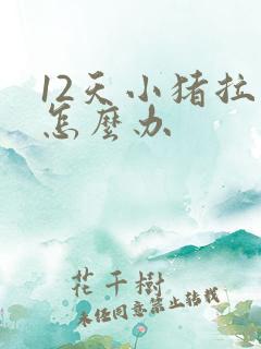 12天小猪拉稀怎么办