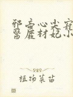 邪帝心尖宠:鬼医废材妃小说免费阅读