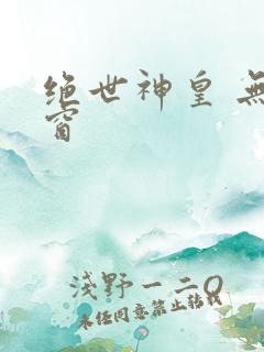 绝世神皇 无弹窗