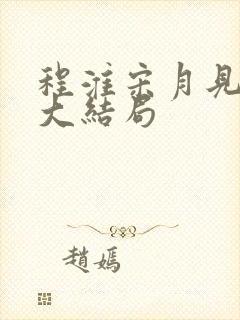 程淮宋月见小说大结局