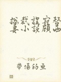 总裁误宠替身甜妻小说顾西城