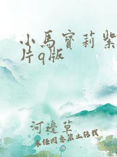 小马宝莉紫悦图片q版