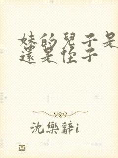 妹的儿子是外甥还是侄子