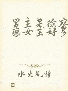 男主是检察官暗恋女主好多年