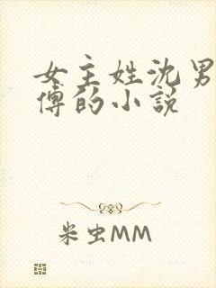 女主姓沈男主姓傅的小说