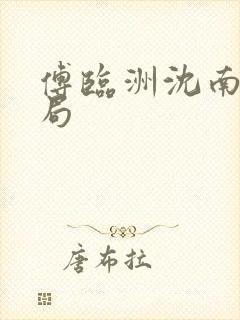 傅临洲沈南意结局