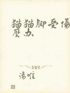 猫猫脚受伤了怎么办