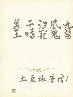 慕千汐凰九夜邪王嗜宠鬼医