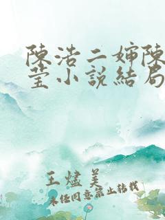 陈浩二婶陈丽小莹小说结局