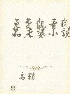 免费观看我的极品老婆小说