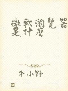 微软浏览器网址是什么