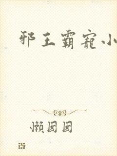 邪王霸宠小毒妃