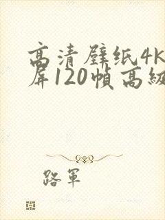 高清壁纸4k全屏120帧高级感女平板