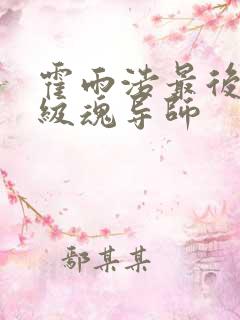 霍雨浩最后是几级魂导师