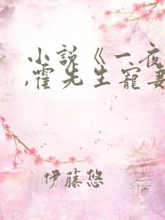 小说《一夜情深,霍先生宠妻无度》