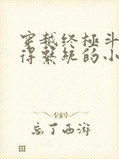 穿越终极斗罗获得系统的小说